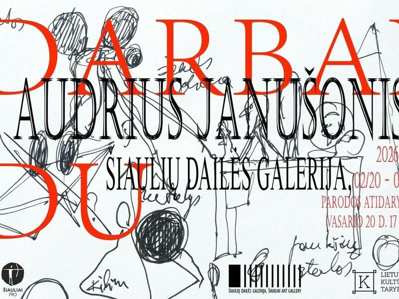 Audrius Janušonis creative works exhibition “Works II”