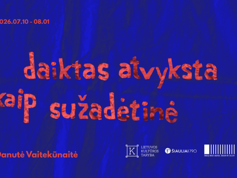 Danutė Vaitekūnaitė's exhibition "the object arrives as a bride"