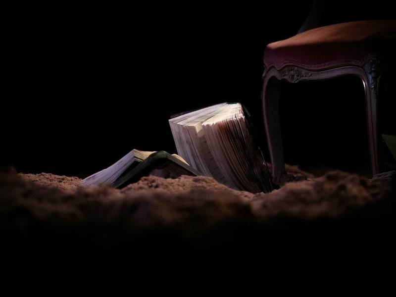 NENDRINĖ VIŠTELĖ. Kelmės mažojo teatro spektaklis ir diskusija