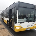 VIETŲ NEBĖRA! ŠIAULIŲ NAKTYS - NAKTINĖ EKSKURSIJA AUTOBUSU „PIETINIA KRONIKAS GYVAI“