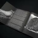 G. M. Kinčinaitytės monografijos „Sunless Seas of Ice” pristatymas