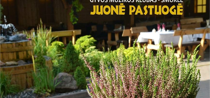 Smuklė „Juonė pastuogė“