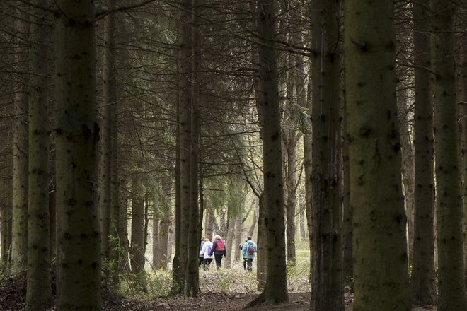 TALKŠA ECOLOGICAL PATH