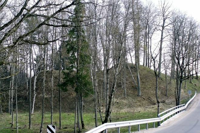 ПАГЗРЫЗУВИС КУРГАН