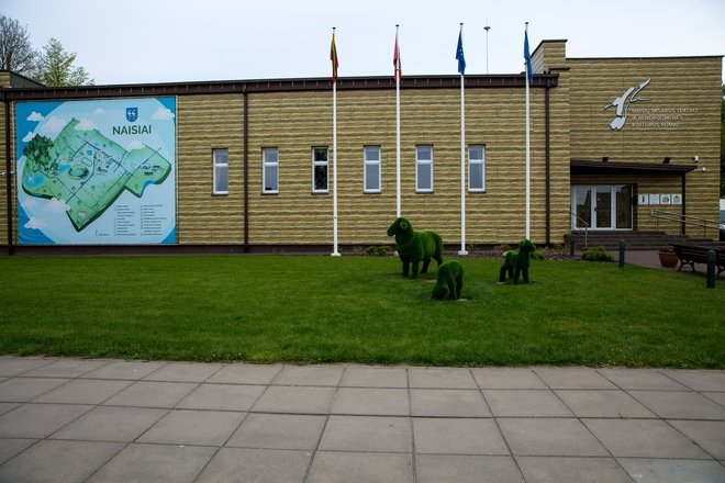NAISIUOSE VYKSTANTYS EDUKACINIAI UŽSIĖMIMAI
