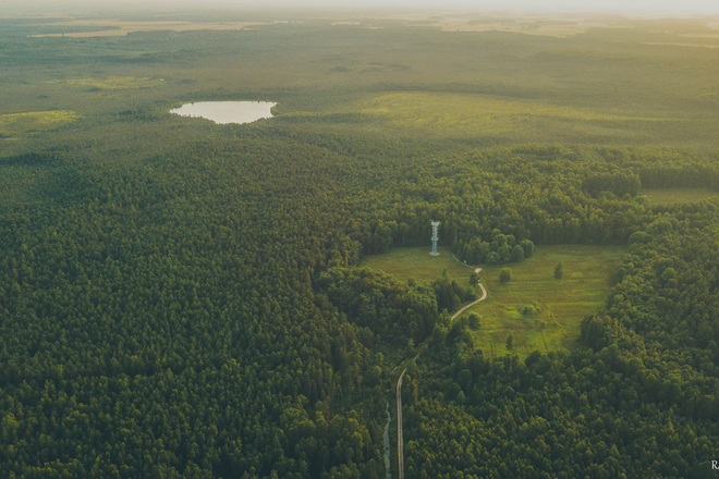 THE DIRECTORATE OF KAMANOS STATE NATURE RESERVE