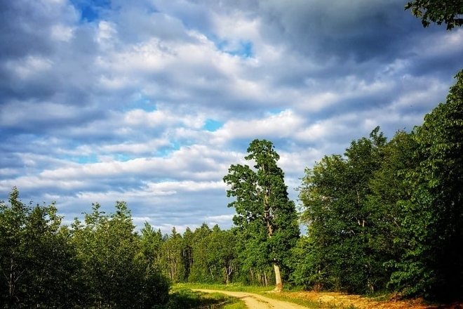 DVIRAČIŲ MARŠRUTAS MIŠKO TAKU