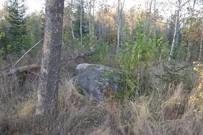 GUOSTAGALIO AKMUO VADINAMAS „VELNIO KRĖSLU'“