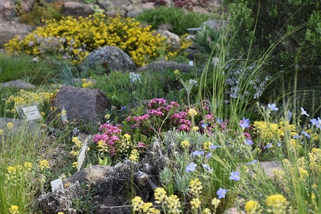 JARDIN BOTANIQUE