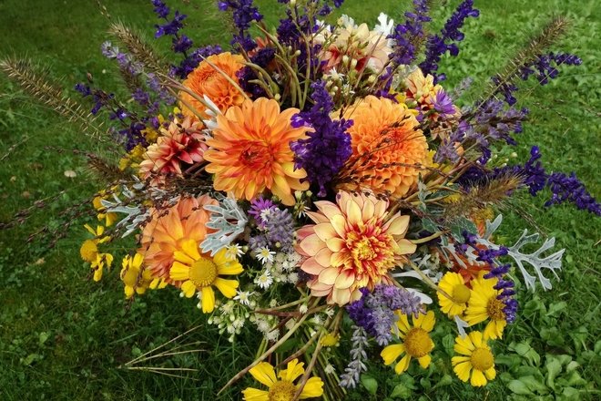 FLORISTINĖ EDUKACIJA SUAUGUSIEMS: GYVŲ AUGALŲ PUOKŠTĖS RIŠIMAS SPIRALĖS ARBA MENINIU BŪDU