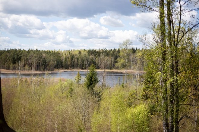 VAINAĢU PILSKALNA