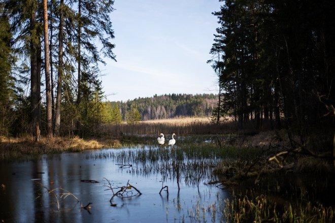 JUODLĖ TRAIL