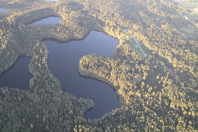 THE SHORT TRAIL OF PAGELUVIS LAKE DISTRICT