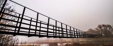 Monkey Bridge in Papile