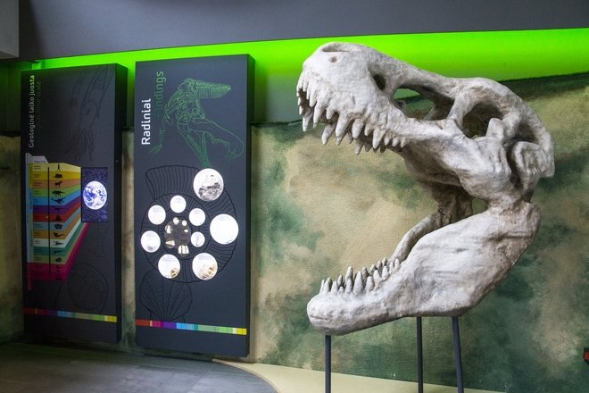 À LA RECHERCHE DES DINOSAURES