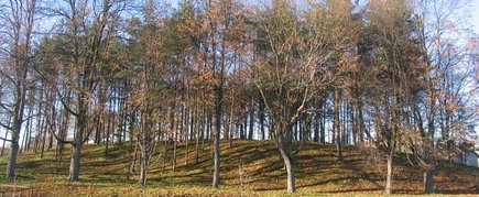 ST. ГОРЯ ЮРГИО